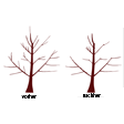 Illustration: Schematische Zeichnung eines Baumgerippes vor und nach einem Erhaltungsschnitt