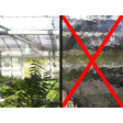 Illustration: Zwei Fotos, links das Gartenblankglas, rechts das Gartenklarglas. Das rechte Foto ist mit roten Linien in Form eines Kreuzes durchgestrichen, da hier das Gartenblankglas gemeint ist