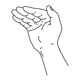 Bild der Handform hamflathand,hamfingerstraightmod