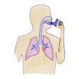 Illustration: Aerosol gelangt über Mund in Luftröhre und Bronchien