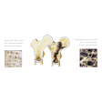 Illustration: Schnittzeichnung durch gesunden Knochen mit ausreichender Knochensubstanz und Osteoporose-Knochen mit verminderter Knochensubstanz