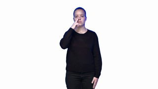 hamfinger23,hamextfingerul,hampalmdl,hamnose,hamlrat,hamclose,hammoveil,hamsmallmod,hamtouch