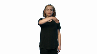 hamflathand,hamextfingerul,hampalml,hamshoulders,hamlrat,hamparbegin,hammovel,hamlargemod,hamarcu,hamreplace,hamextfingerdl,hamparend