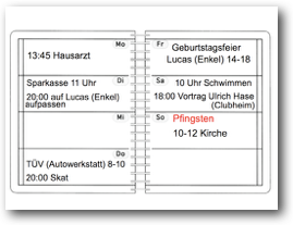 Weekly calendar with various appointments