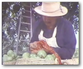 Scene from “Pear Story”