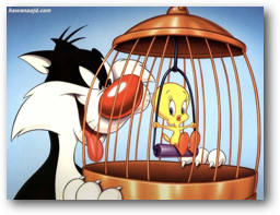 Scene from “Canary Row”:  The cat Sylvester holds a bird cage with bird Tweety inside.