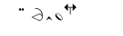 HamNoSys-Notation