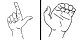 Bild des Handformpaares